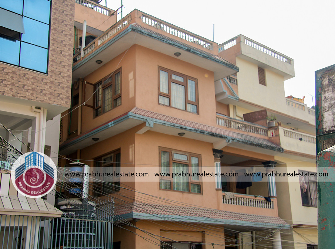 House at Baneshwor  LITTLE BUDDHA COLLEGE
