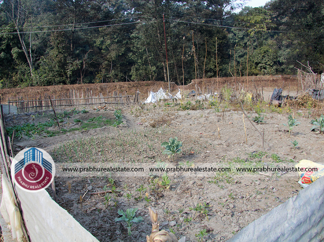 land at Thali Chowk