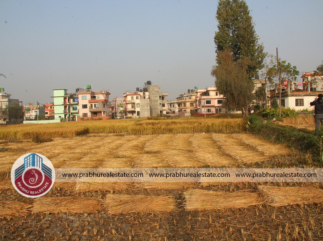 Land at Balkot
