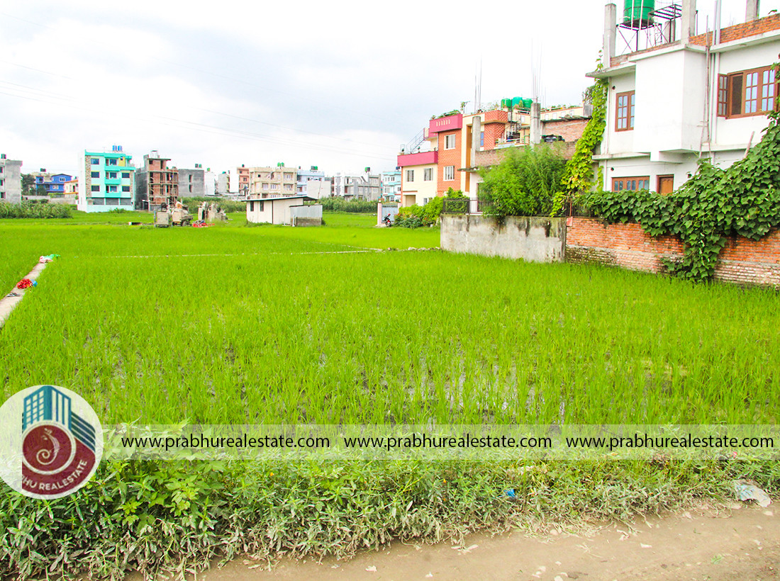 Land at Balkot Rose Village Near Health Post