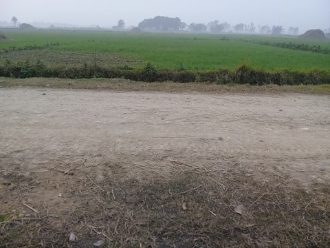 Land at BARA,Kolhabi municipality - 3