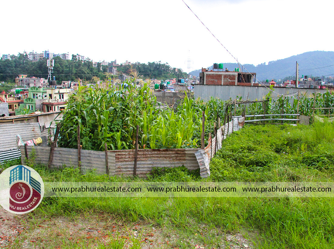 Land at Basanta Colony Near Jarankhu