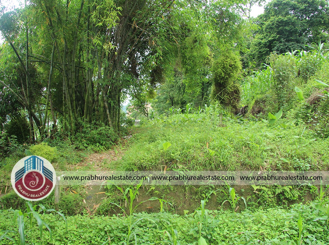 Land at Bhaisepati,Near Dish Home Office,