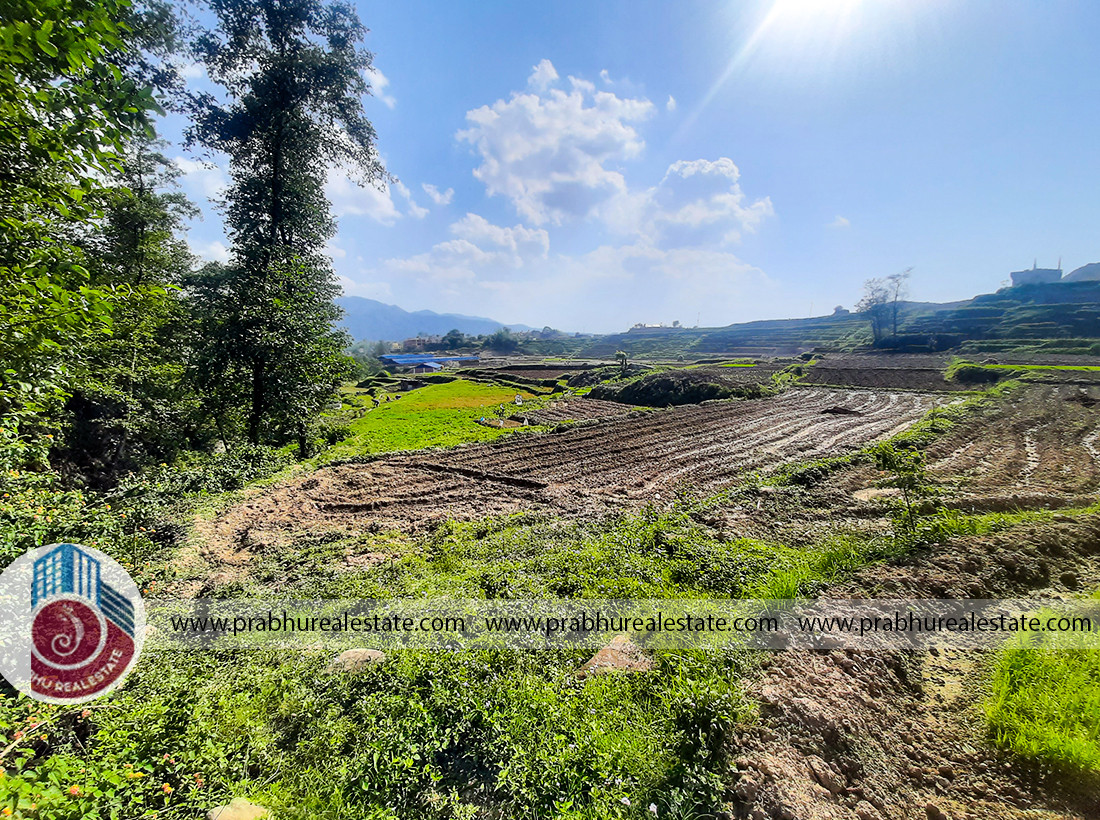 Land at Bhaktapur Near Thathali