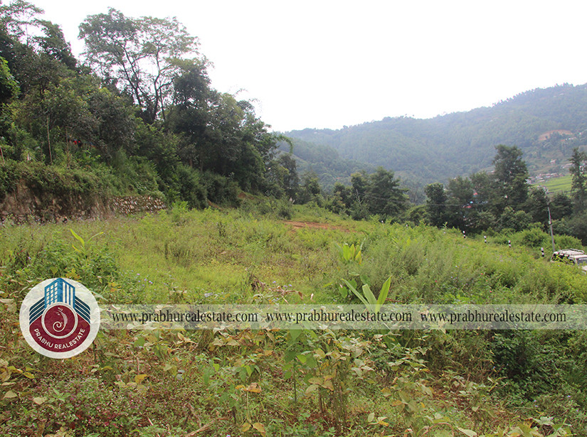Land at Bista Chhapa, Godamchour