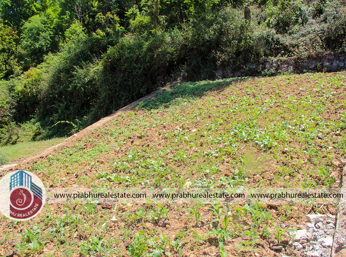 Land at Chandragiri Matatirtha Near Arvind Ashram