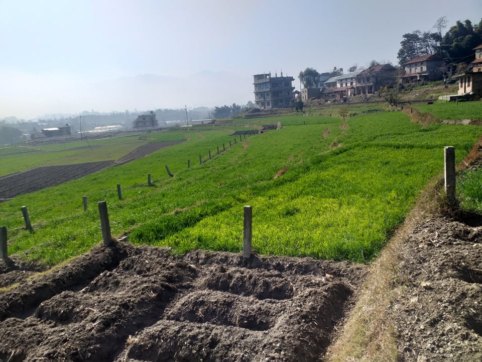 Land at Chhaling, Bhaktapur