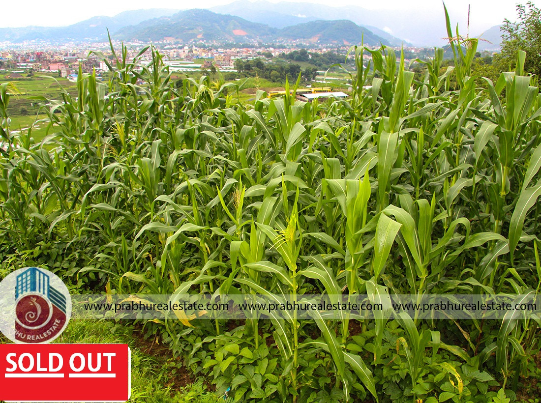 Land at Dhapakhel 5