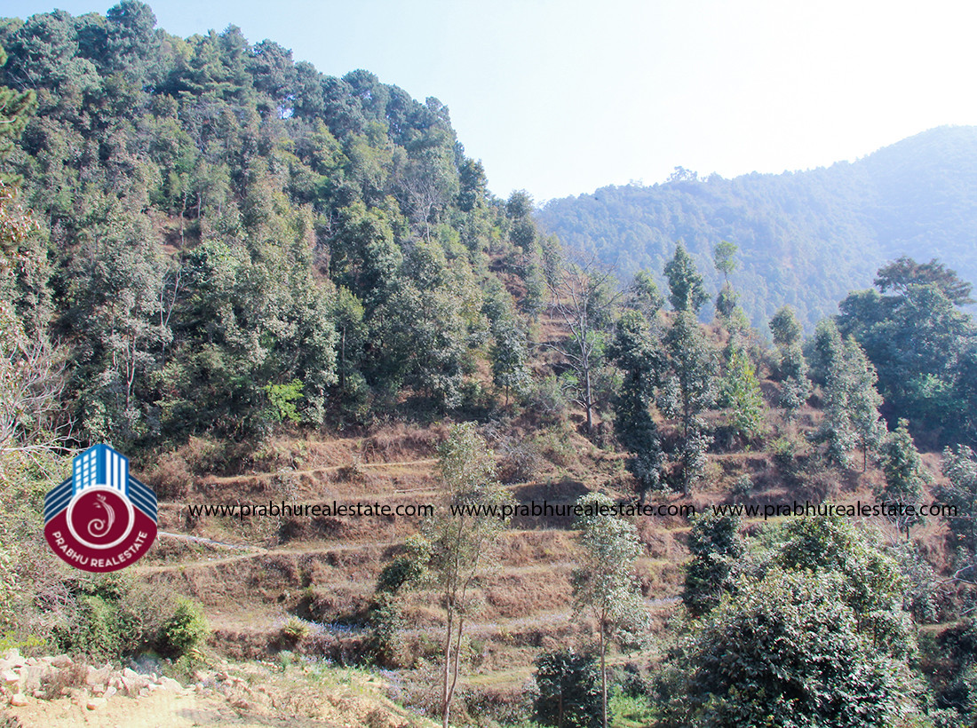 Land at Godawari 5