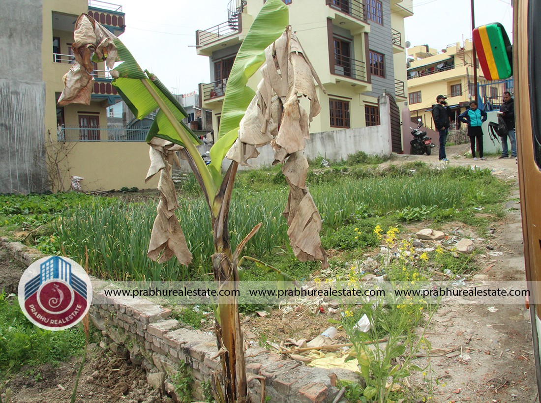 Land at kadaghari thapa chowk
