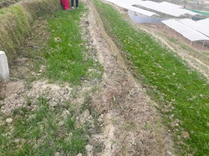 Land at Lala, Lalitpur,