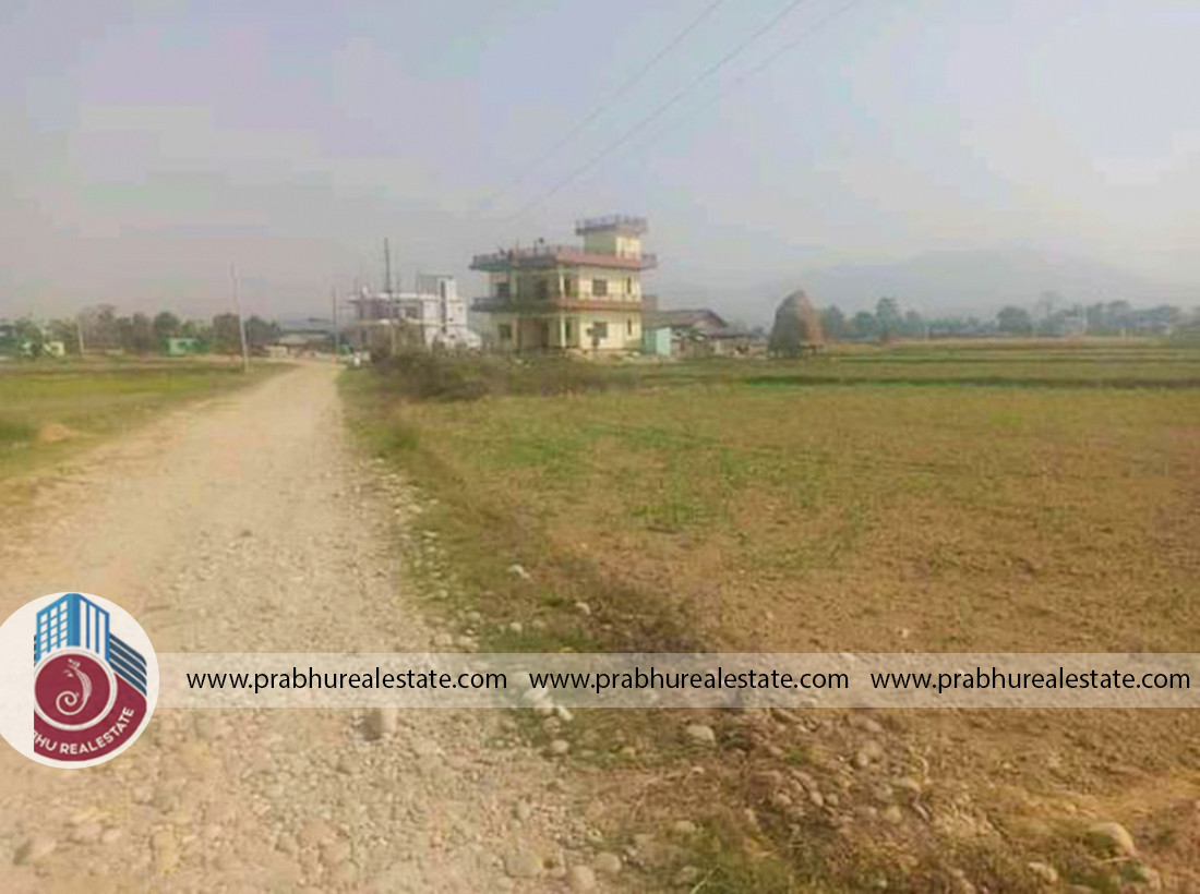 Land at Madi Chitwan Near Basantapur Bazar