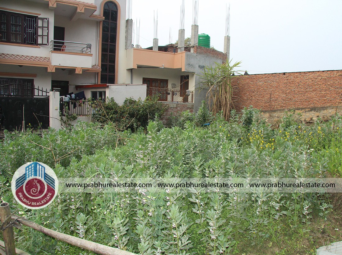 Land at manamaiju,kathmandu,