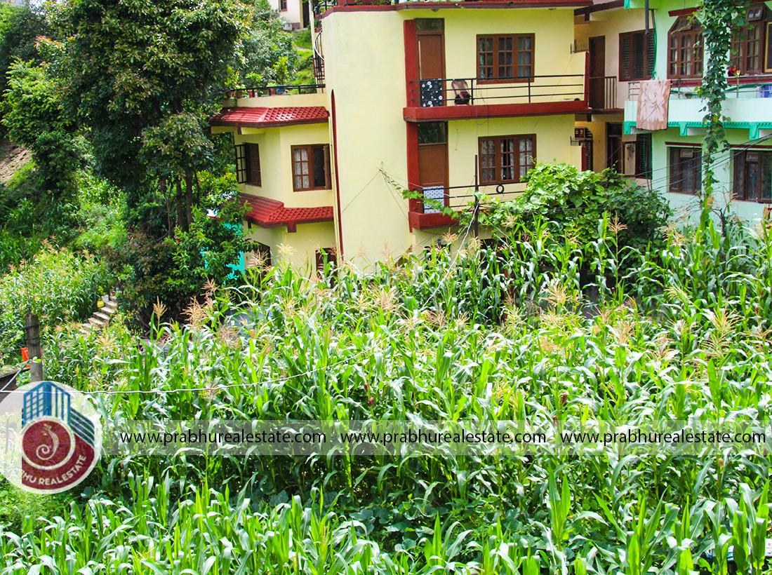 Land at Mulpani Near Cricket Ground