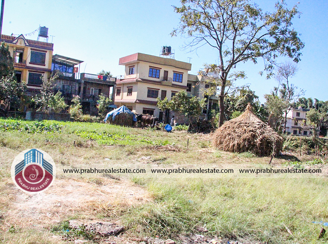 Land at Mulpani Near green hill city