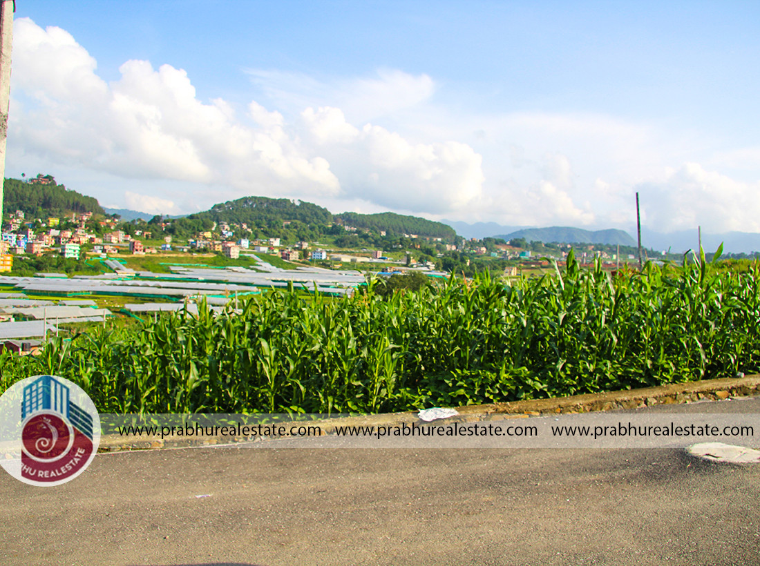 Land at Nagdaha Dhapakhel Near Jalpa Secondary School 1