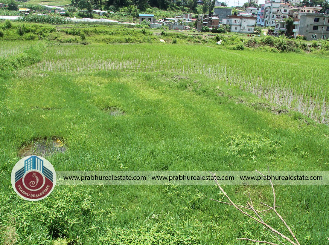 Land at New Coloney, Hattigauda