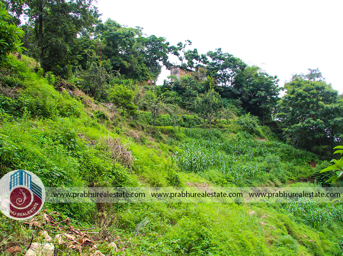 Land at Pharping