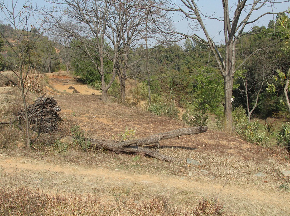 Land at Pharping, Dakshinkali