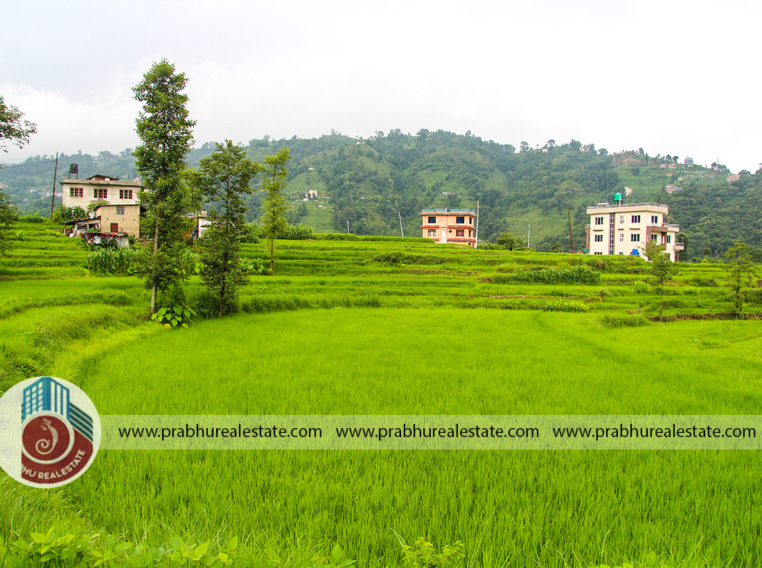 Land at Sankhu Near Palubari
