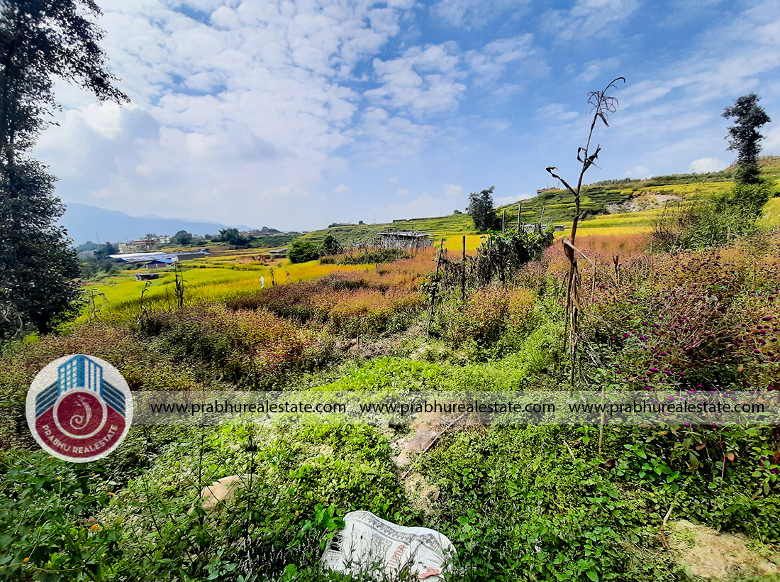 Land at Tathali Bhaktpur