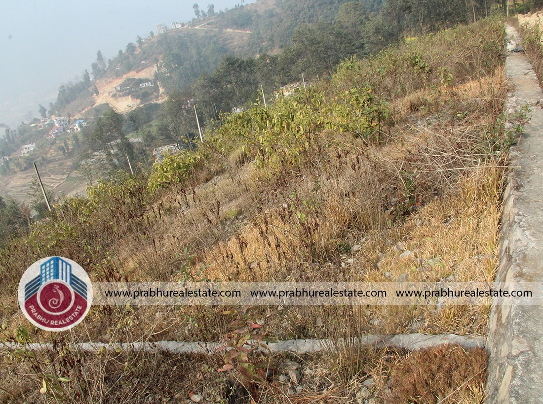 Land at thankot; vaddgau;