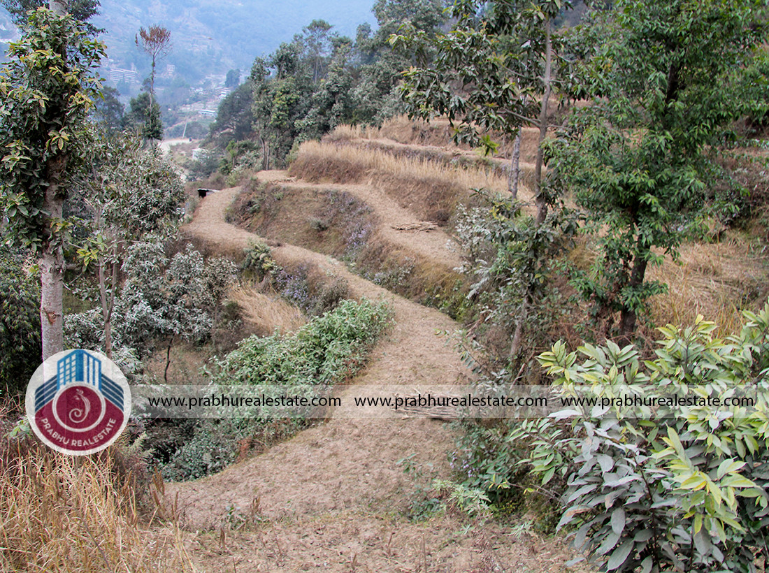 Land at Tinpiple Tarakeshwor municipality-3