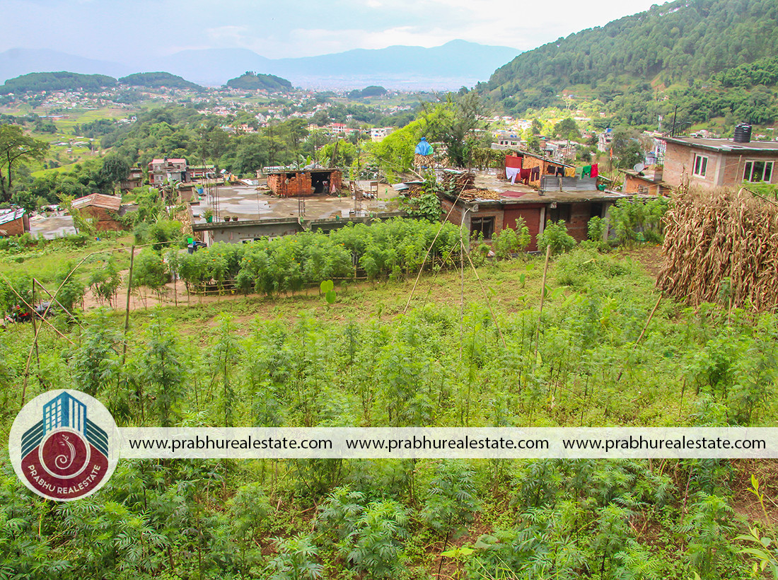 Land For Sale At Badikhel Godawari Near Badikhel Bus Park 1