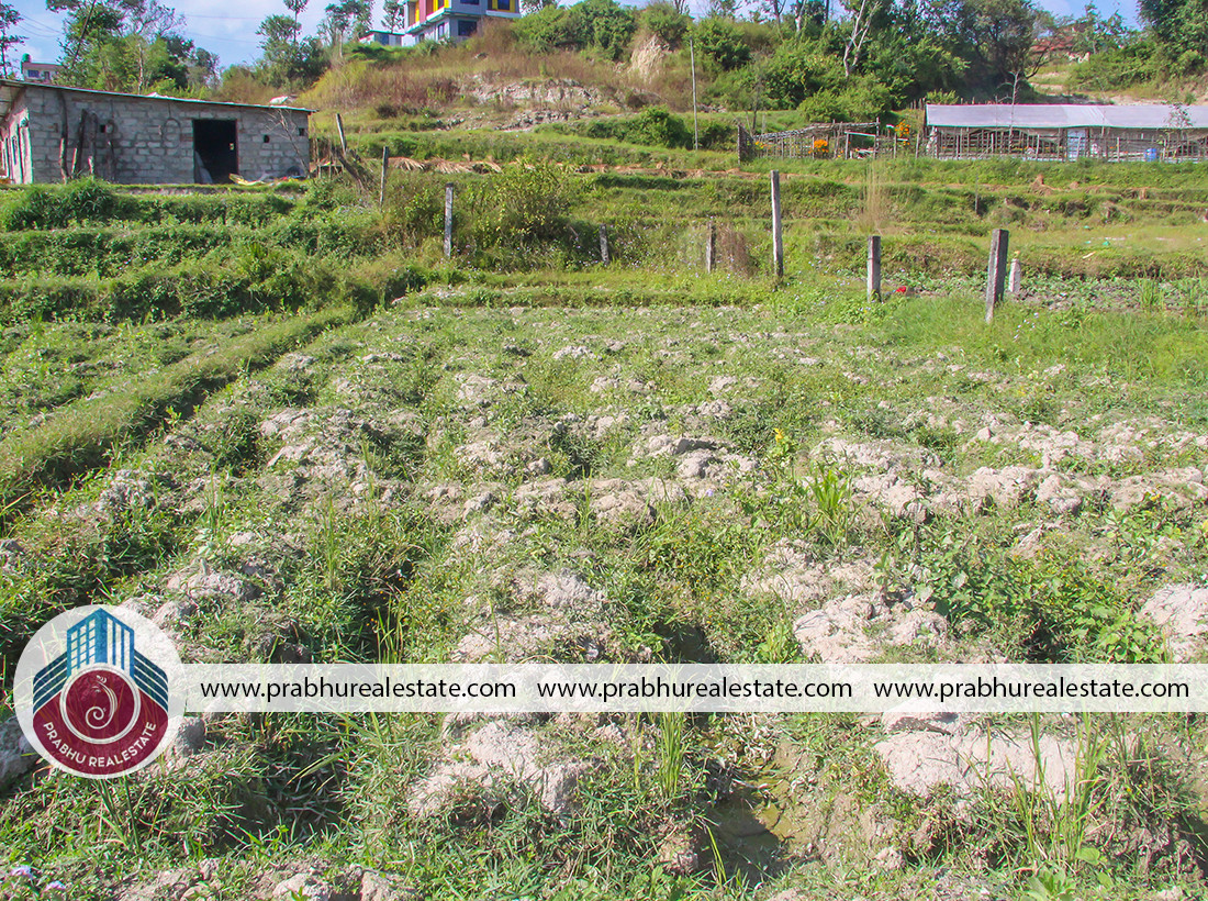 Land For Sale At Bramakhel Gagalphedi Ward Number 5 Subedi Gau 1