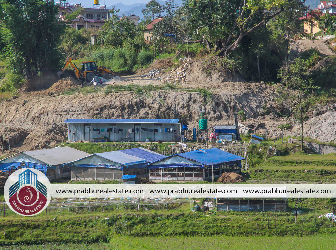 Land For Sale At Bramakhel Gagalphedi Ward Number 5 Subedi Gau 2
