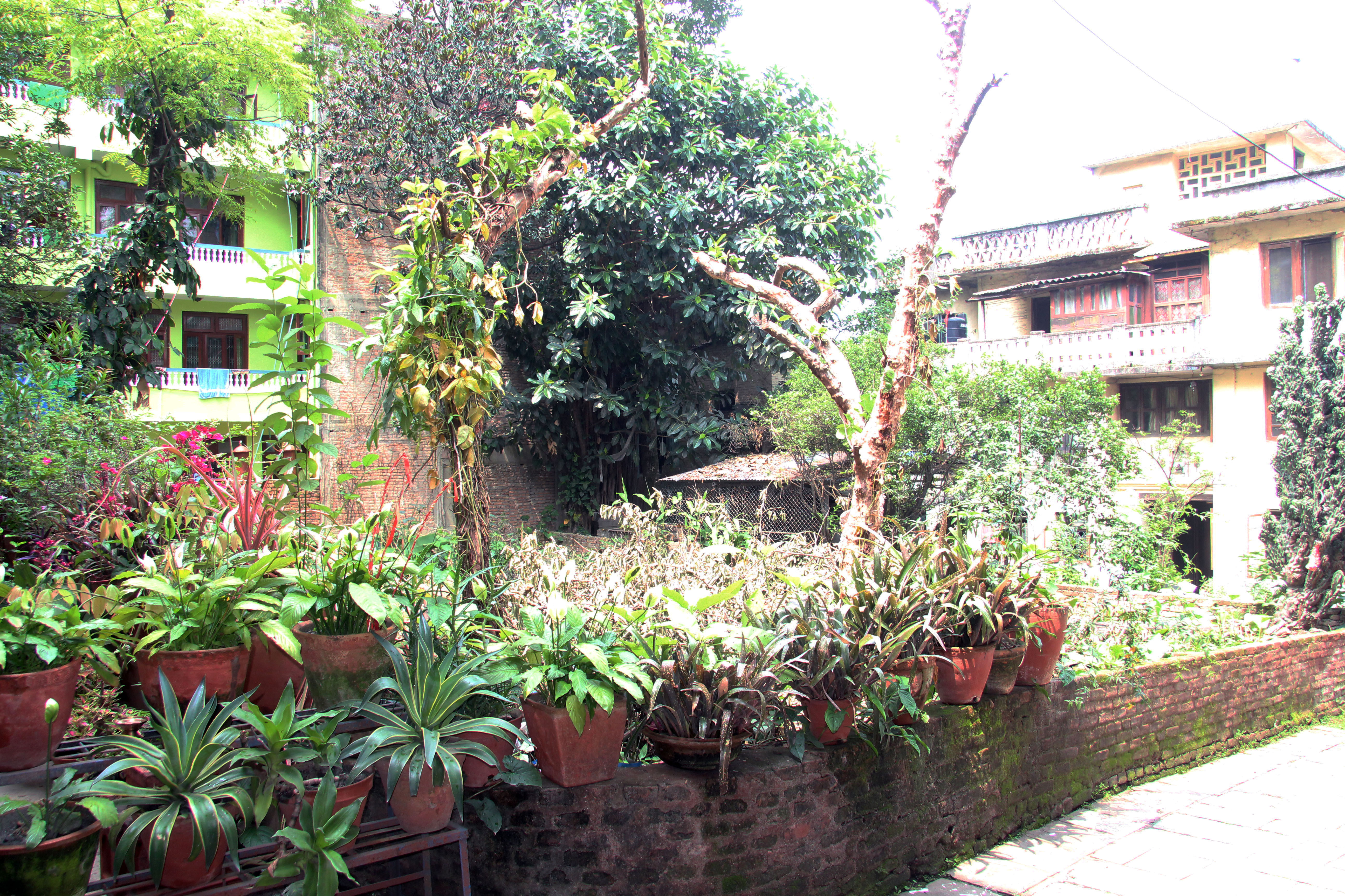 Land for sale at Dillibazar