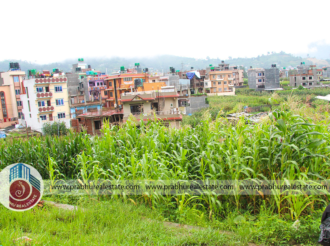 Land For Sale At Goldhunga Sat dhara