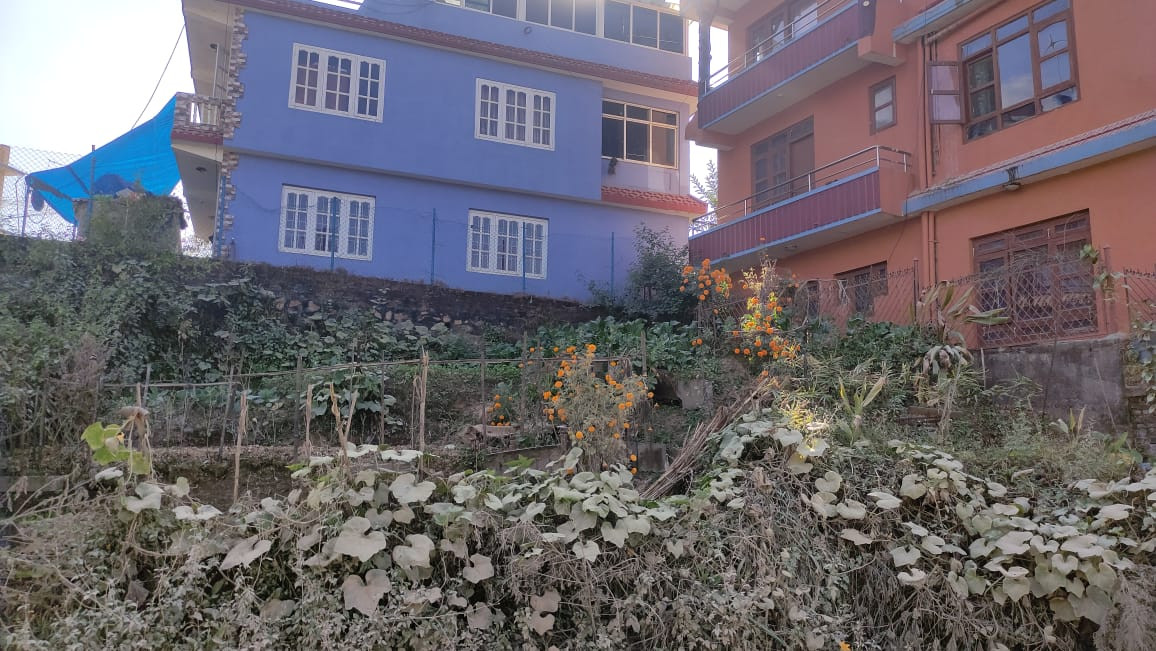 Land For Sale At Harisiddhi Near Godawari Residential School