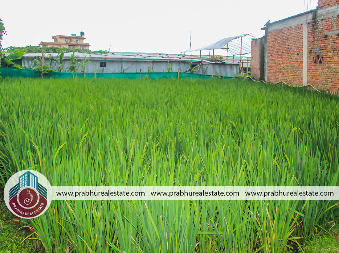 Land For Sale At Harisiddhi Near Panitanki