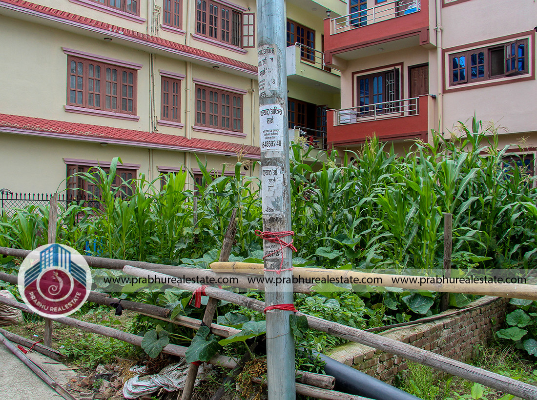 Land for sale at Hariyali Basti, Lolang Height, Kathmandu