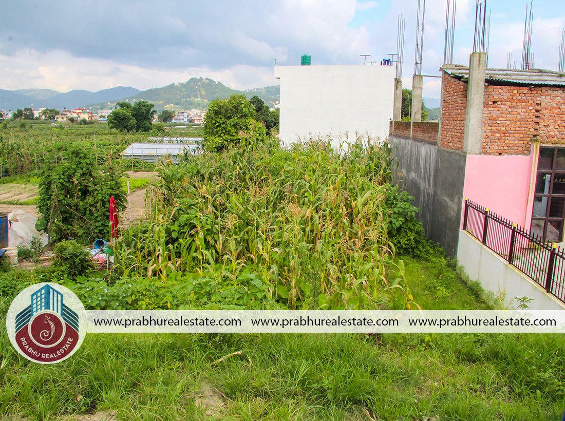 Land For Sale At Mulpani Chaur Near Sidhi Ganesh Toll
