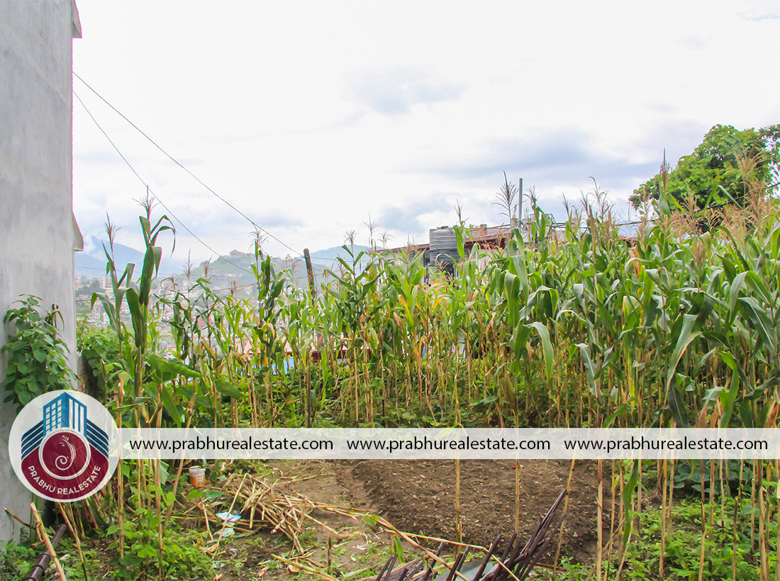Land For Sale At Nakhipot Near Ganesh Temple