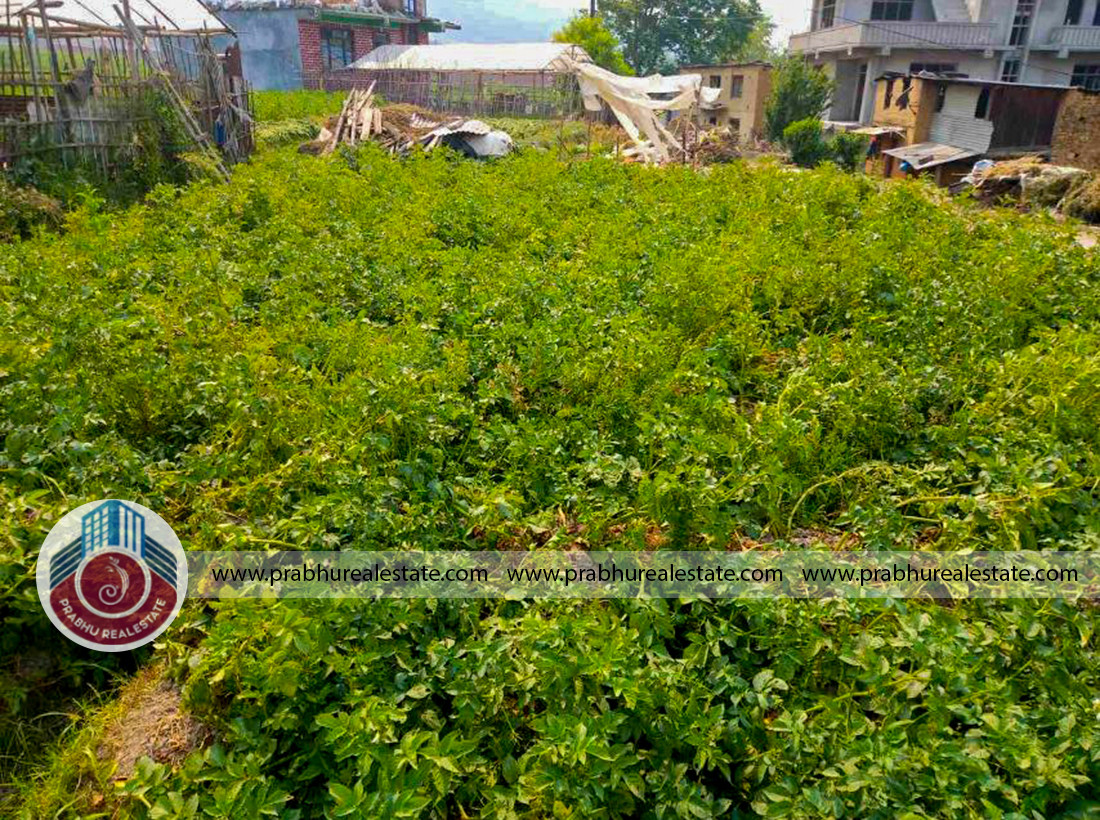 Land for sale at  Panauti Khopasi,Kavre