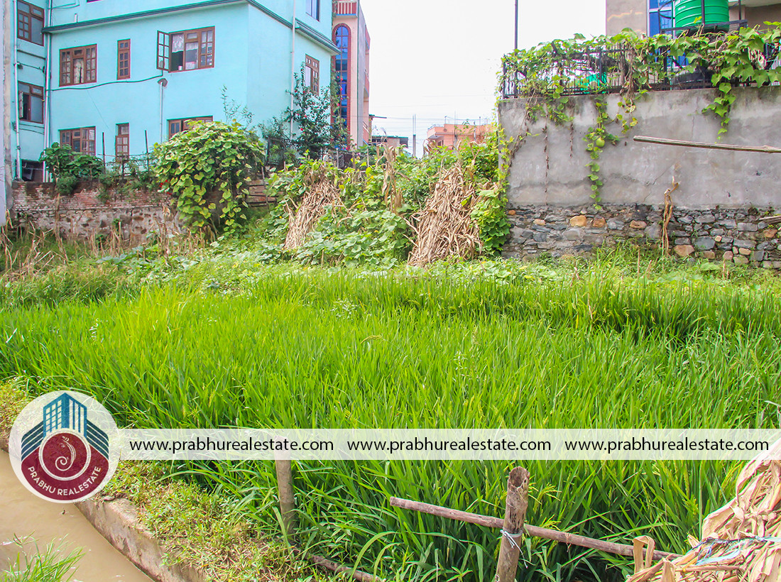 Land For Sale At Harisiddhi Sanagaun Near Pani Tank