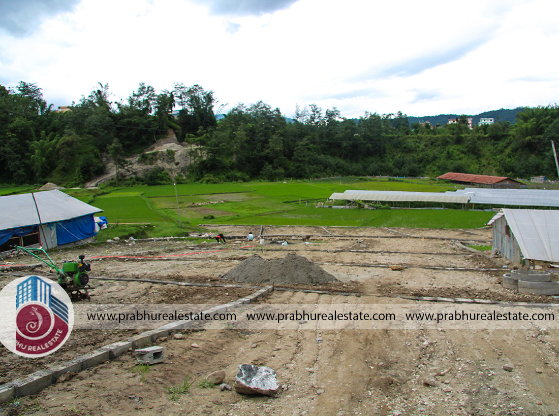 Plotted land at Bramakhel Gagalphedi Ward Number 5 Subedi Gau