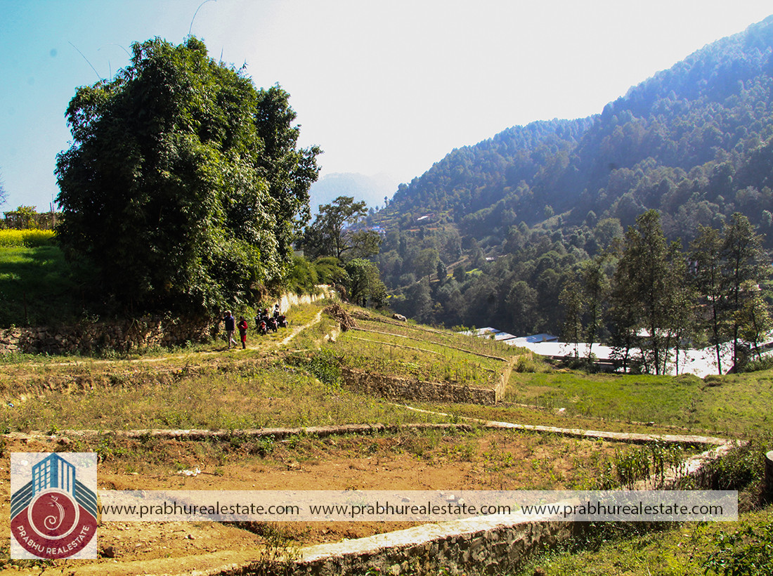 Plotted land for sale at Chapagaun in Neupane Gaun way to Pyangaun Buspark